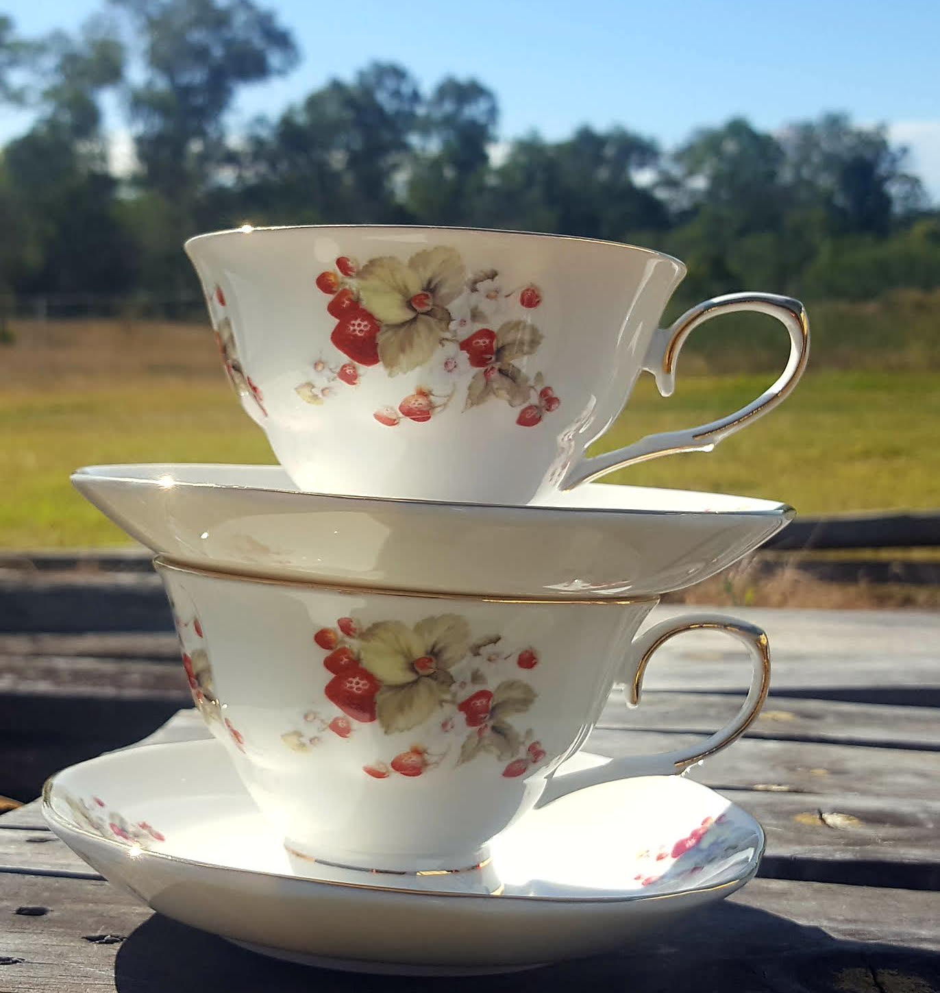 Strawberry Garden 2 Cup & Saucer Set (Custom)